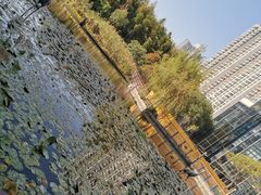 -苏州河梦清园环保主题公园