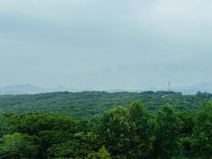 -珲春防川景区