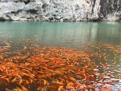 -楠溪江风景名胜区