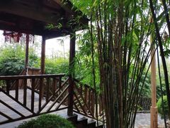 -崇阳三特浪口温泉