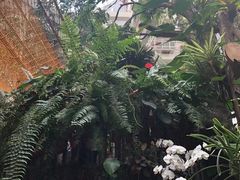 -正佳雨林生态植物园