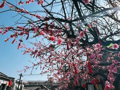 -清风小镇闯关东影视基地