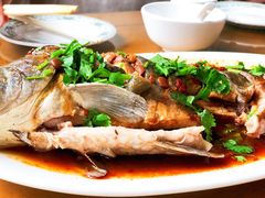 -微山岛春天里酒家