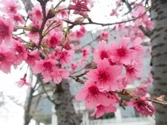 -广东工业大学(大学城校区)