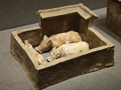 -广西壮族自治区博物馆