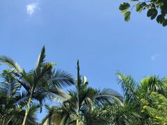 -南宁良凤江国家森林公园