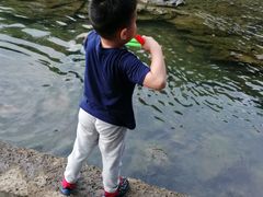 -鹿亭中村
