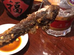 -武汉世茂希尔顿酒店·汇·全日餐厅