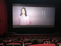 -华谊兄弟影院(北京洋桥店)