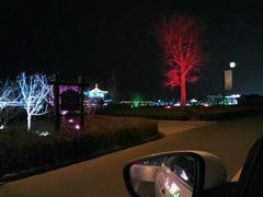 -灵山莲花公园-温泉度假区