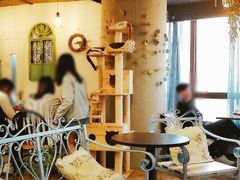 大堂-共舞时光猫咖·狗咖(新街口店)