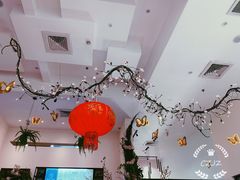 -酷豆宠物咖啡·宠物美食·撸猫馆