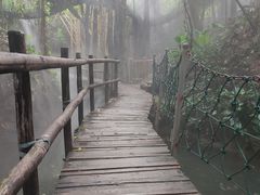 -青青世界