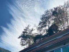 -广州市流溪河国家森林公园