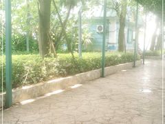 -大信·云顶星河游乐王国