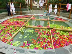 -天目湖御水温泉·度假酒店