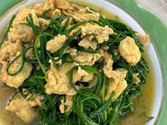 -沙洲胡杨焖饼
