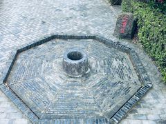 -上海佘山国家森林公园天马山园