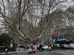 -南京维景国际大酒店(南京博物院店)