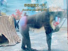 -西安秦岭野生动物园