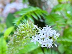 -东天目山风景区