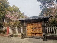 -南山植物园