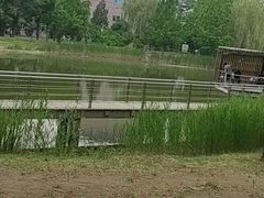 -百里山水画廊乌龙峡谷