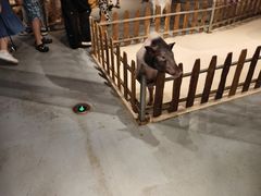 -天河城购物中心