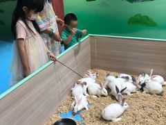 -嘉文梦想世界(SM天津滨海城市广场店)