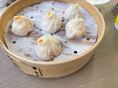 -苏小柳点心·手作小笼包(浦东嘉里城分院)