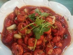 -老梅园大虾城(河西店)