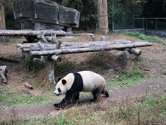 -宁波野生动物园