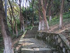 -峙山公园