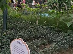 -长春农业博览园
