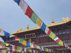 -骏途旅游