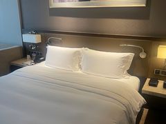 -济南绿地美利亚酒店