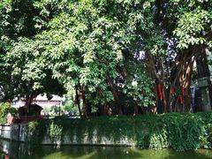 -潮喜竹溪荔湖酒家(荔枝湾店)