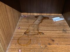 -南亚水鑫温泉SPA(恒宇商业广场店)