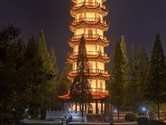 -桃花岛公园