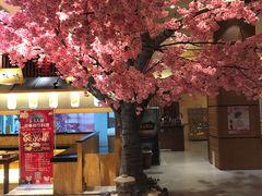 -大江户·温泉洗浴(浑南店)