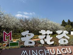 -名花谷生态庄园