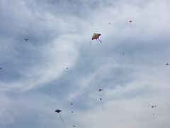 -北京麋鹿生态实验中心