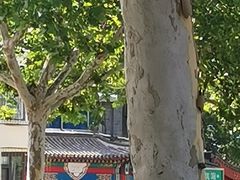 -东来顺饭庄·火锅(环岛店)