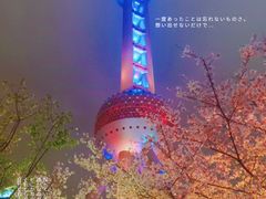 -东方明珠广播电视塔