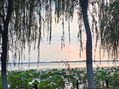-阳澄湖费尔蒙酒店