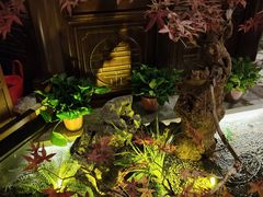 -解家河南菜(金水路店)