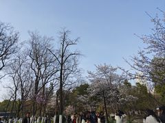 -涵家味土菜馆·徽州一绝臭鳜鱼(三河古镇店)