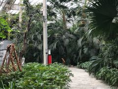 -龙达温泉生态城