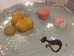 -三花喵·撸猫购宠·宠物生活馆(虹桥南丰城店)