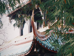 -望江楼公园